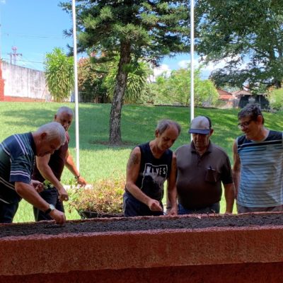 2019 replantando a floreira (1)